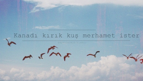 Merhamet