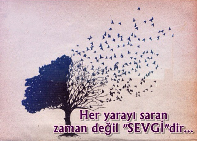 Sevgi, Her Şeydir!