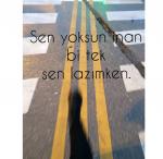 Bir Sen Yoksun