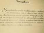 Seveceksen